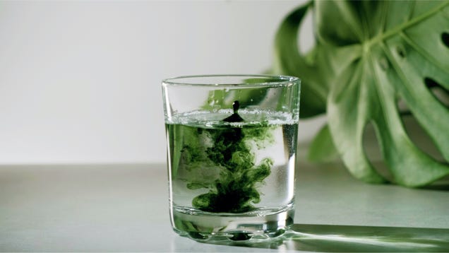 Why You Shouldn't Expect Chlorophyll Water to Help Treat Your Acne