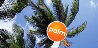 Illustration for article titled Palm to Release "New Category of Mobile Devices"