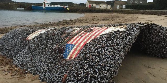 photo of Huge Piece of Debris Likely From SpaceX Summer Explosion Washed Up in UK image