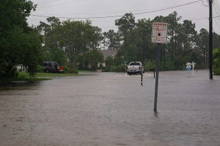 Illustration for article titled Florida's Environmental Strategy: Banning The Phrase "Climate Change"