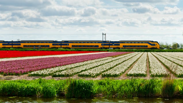The Dutch Railway Could Run Solely on Wind Power By 2018