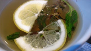 Catnip Tea | Homemade Recipes For Cold And Flu