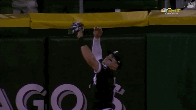 d7z1ctzbbt5f25su2a9z.gif