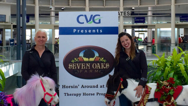 The Cincinnati Airport Has Miniature Therapy Horses to Ease Your Crippling Flight Anxiety - Jezebel