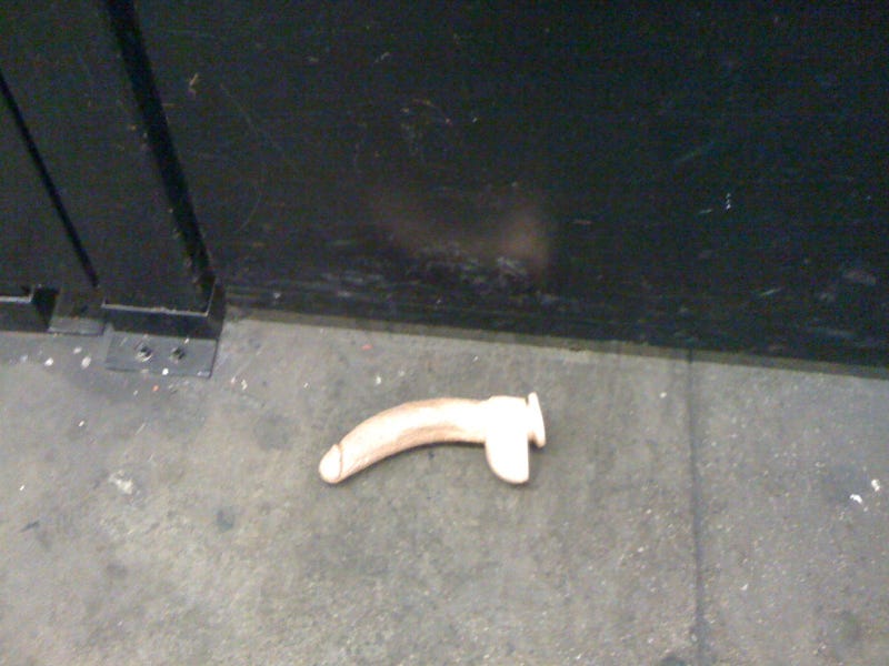 Illustration for article titled Found Thing: Disembodied, Veiny Thundercock...