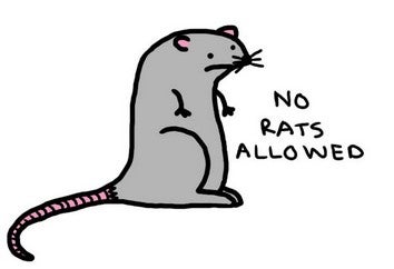 Illustration for article titled The Top Ten Worst Roommate Stories