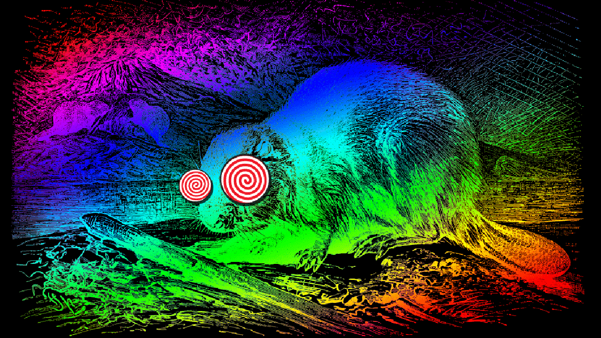 Image result for make gifs motion images of massive drug hallucinations