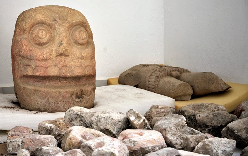 Uno de los cráneos hallados. Al fondo, la estatua de Xipe Topec