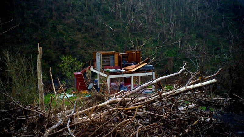 Image: AP