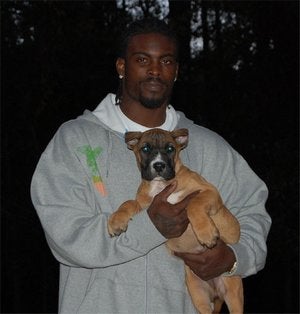 Illustration for article titled Afternoon Blogdome: Saving Mike Vick's Dogs