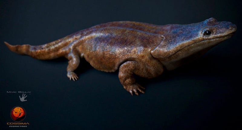 Illustration for article titled Hallan fósiles de una nueva especie de salamandra de más de 2 metros