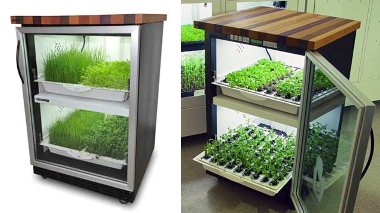 Urban Cultivator — кухонный гроубокс