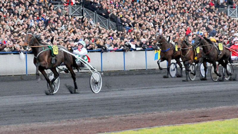 Illustration for article titled Harness Racing Movie Contends Life Is Like Harness Racing
