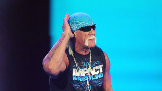 Hulk Hogan Refers to “Fucking Niggers” in Leaked Transcript