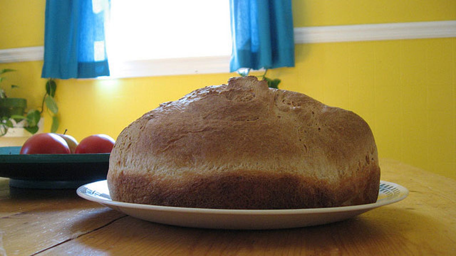 Bread At Room Temperature Not In The Fridge For Six Times Bread At Room Temperature Not In The Fridge For Six Times Freshness