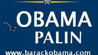 Illustration for article titled An Obama-Palin Ticket