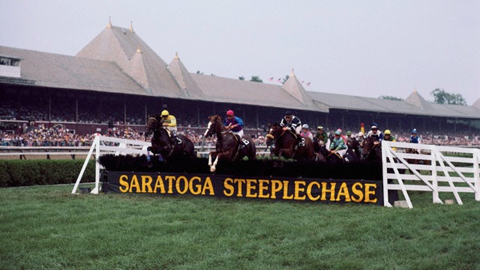 Saratoga Opens With Three Dead Horses On The First Day