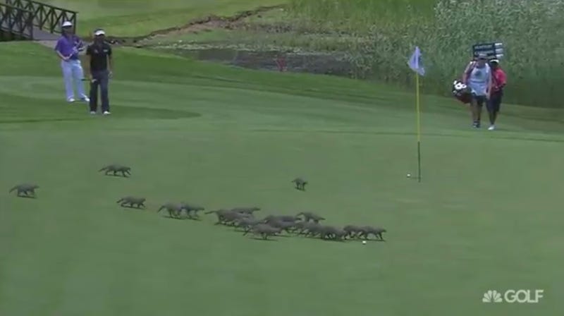 Screencap via @GolfChannel