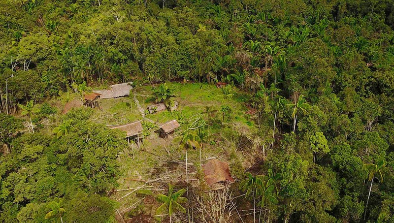 Illustration for article titled Pros And Cons Of Seeking Out Uncontacted Peoples