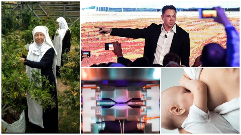 Illustration for article titled Las monjas de la marihuana, la foto de un átomo, la promesa de Elon Musk. Lo mejor de la semana