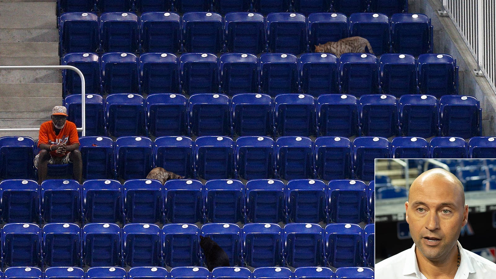 Derek Jeter Just Going To Go Ahead And Count Stray Cats In Marlins Attendance Figure