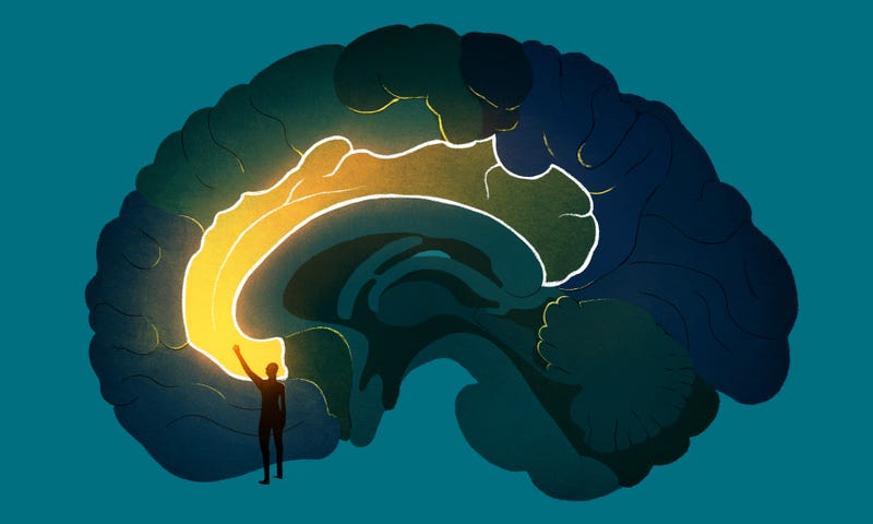 How to Fix Exploding Brains?