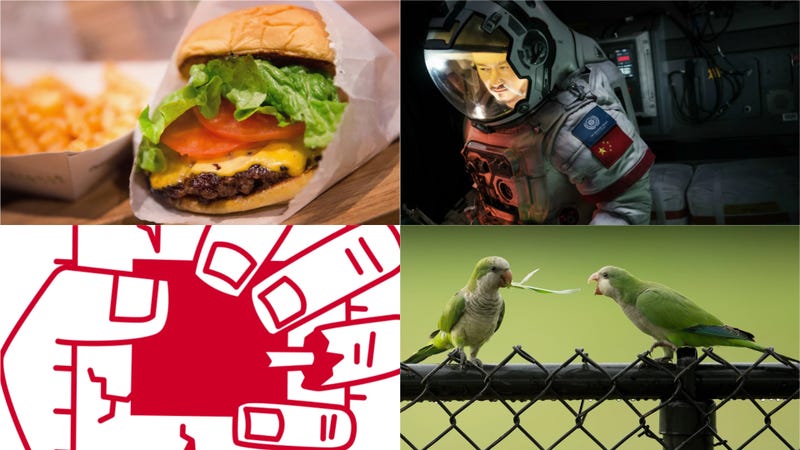 Hidden Netflix Gems, Feral Parrots, and Intel Chip Flaws: Best Gizmodo Stories of the Week