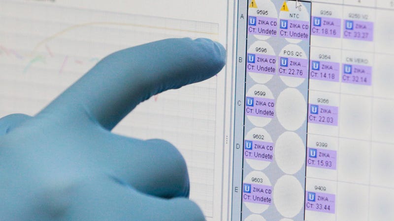 A researcher examining blood test results at the Gorgas Memorial Laboratory in Panama City in 2016 (photo).