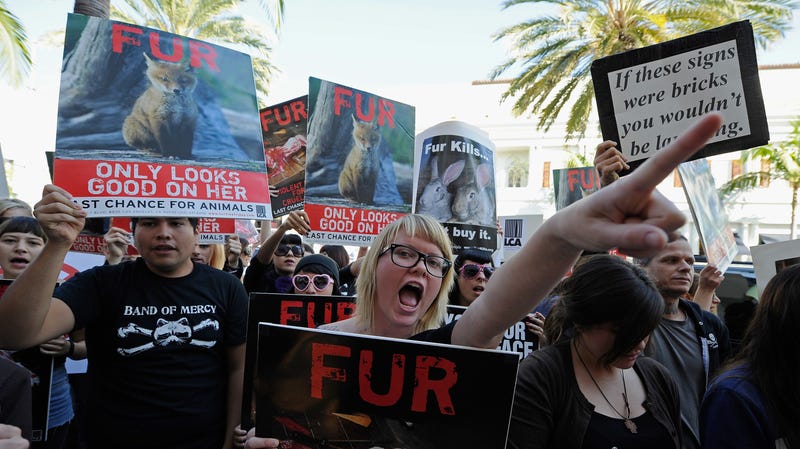 Illustration for article titled No More Fur Stores in L.A.