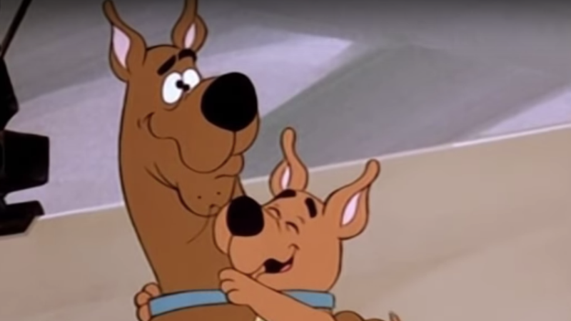 why scrappy doo has been found dead in miami is a thi