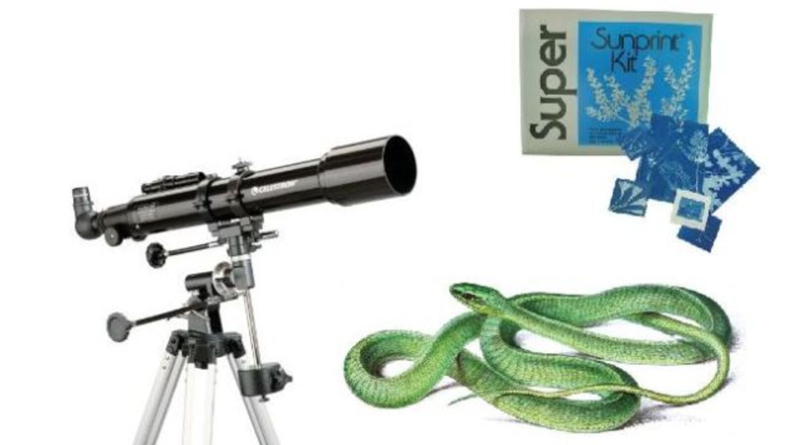 Amazing, Experimental Science Gifts that You Can Make or Buy