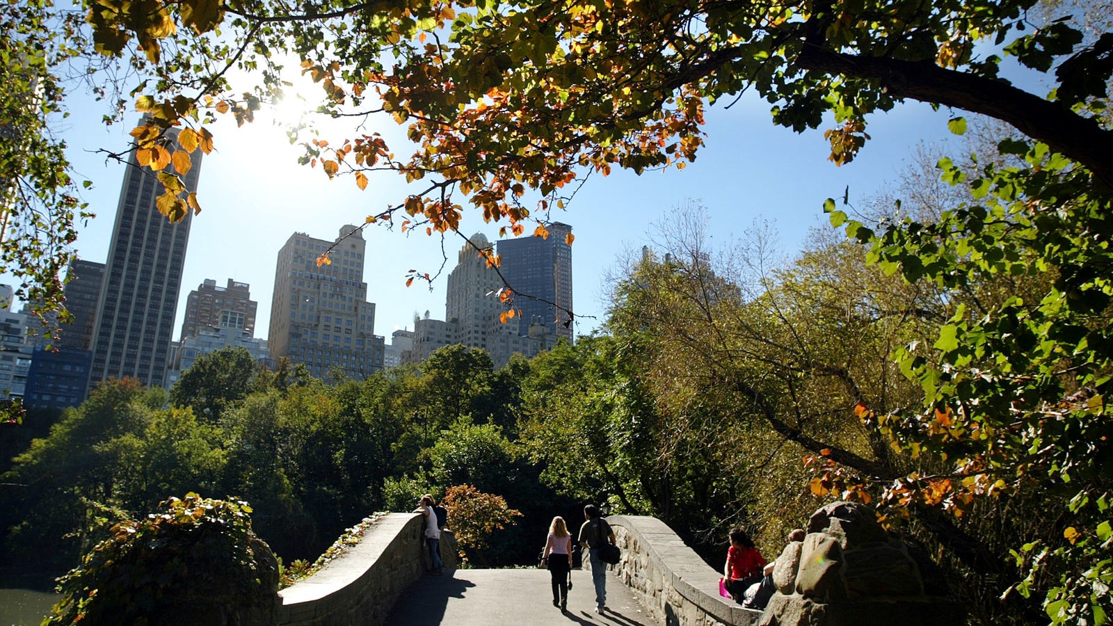 Use the Fall Foliage Prediction Map to Plan Your Autumnal Trips Now