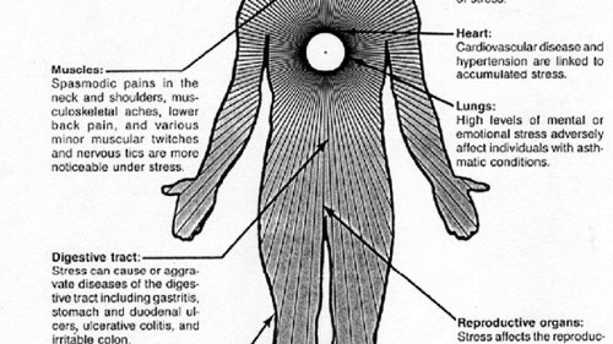How Do Acute And Chronic Stress Impact >> What Stress Actually Does To You And What You Can Do About It How Do Acute And Chronic Stress Impact >> What Stress Actually Does To You And What You Can Do About It