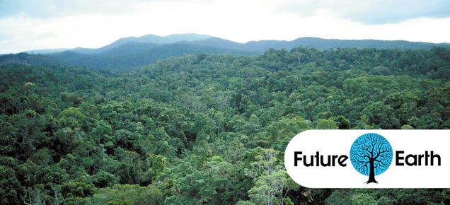 photo of Earth's Tropical Rainforests Could Look Completely Different By the End of the Century image