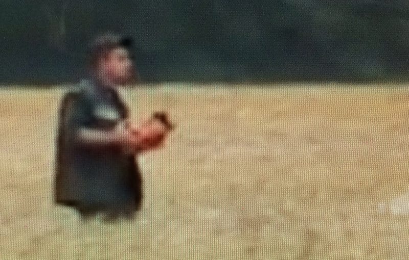 Illustration for article titled Watch This Guy Haul Off One Of MH17's Black Boxes