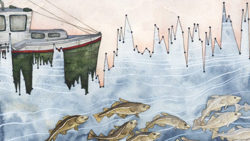 A section of “Gulf of Maine Variability”