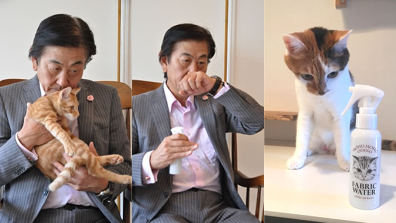У Японії випустили парфум із запахом голови кішки - фото 1