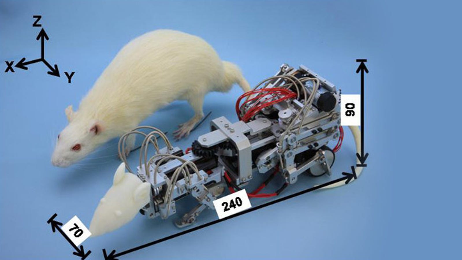 mouse robot for cats