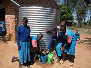 Illustration for article titled Dealing with Climate Change the Way African Farmers Do