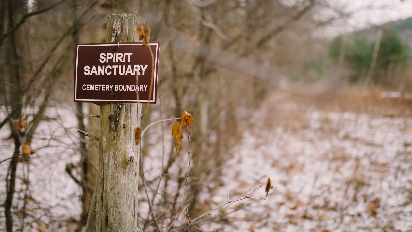 I Dug a Green Grave and Learned the Truth About the Dirty Death Industry