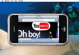 Illustration for article titled iPhoney Simulates Jesus Phone's Browser but is a False Prophet