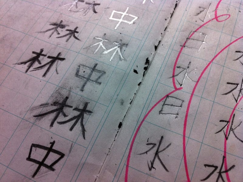 Illustration for article titled Growing Up, Learning Kanji