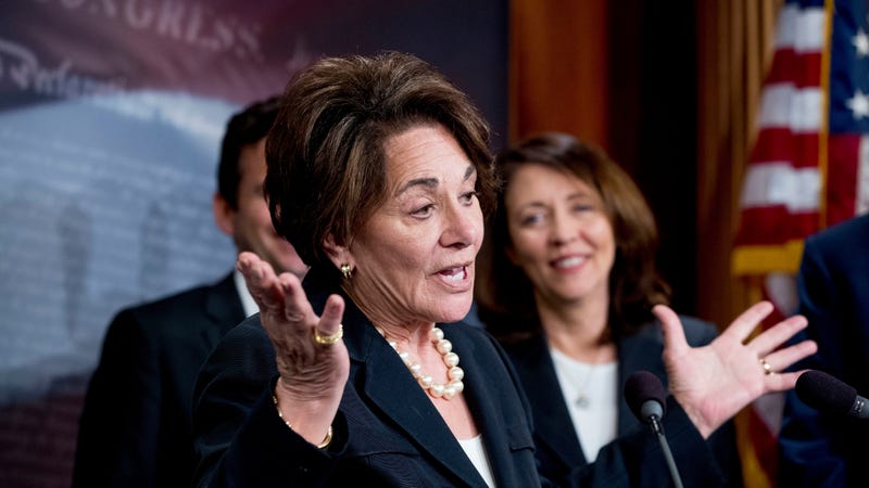 Rep. Anna Eshoo, D-Calif., speaks at a news conference on Capitol Hill in Washington, Wednesday, May 16, 2018.