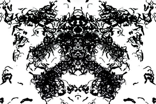 47 Photographic Rorschach Tests