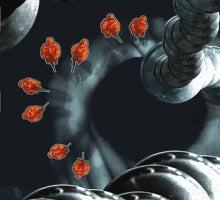 Illustration for article titled Post-Post-Apocalyptic Comic Book Explores Life After the Aliens Leave Us