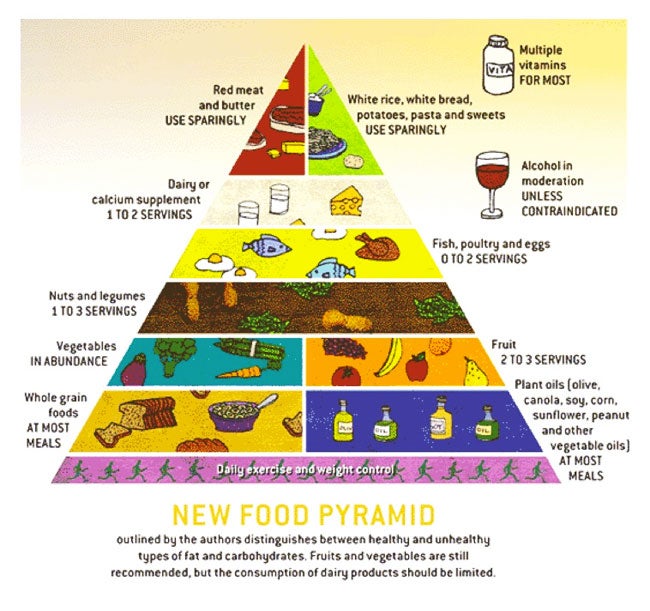 Pyramid Food Group Chart