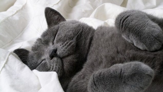 How to Reboot Your Sleep Cycle and Get the Rest You Deserve