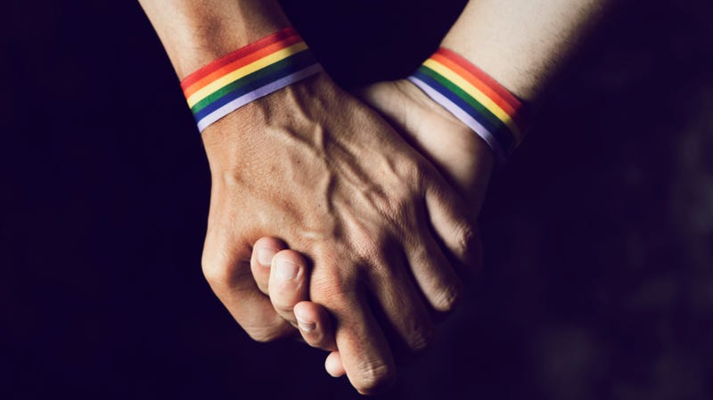 Illustration for article titled Tennessee Prosecutor to Same-Sex Couples: No Domestic Violence Protections for You!
