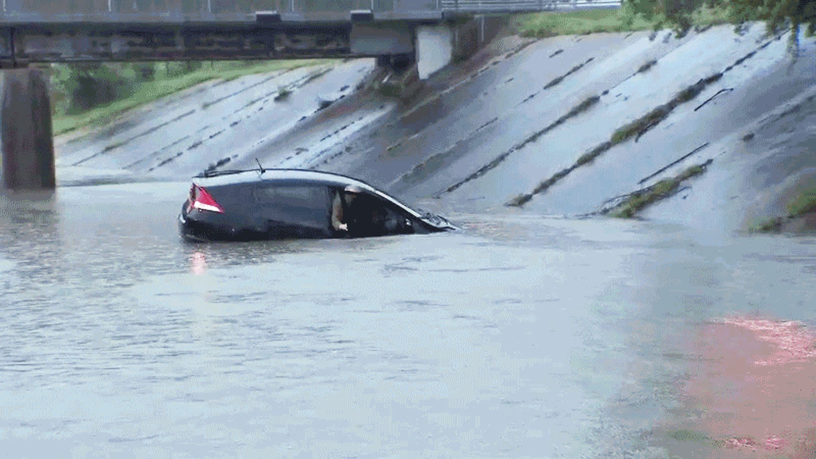 Flood gif.