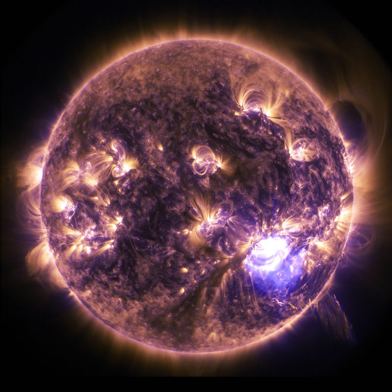 Illustration for article titled This Solar Flare Image Is Beautiful In Its Simplicity